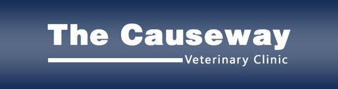 The Causeway Veterinary Clinic - Gold Coast Vets 0