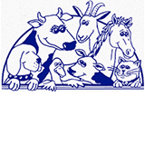 Book Mount Barker Accommodation Vacations Gold Coast Vets Gold Coast Vets