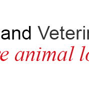Riverland Veterinary Practice - Gold Coast Vets