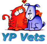 YP Vets - Gold Coast Vets