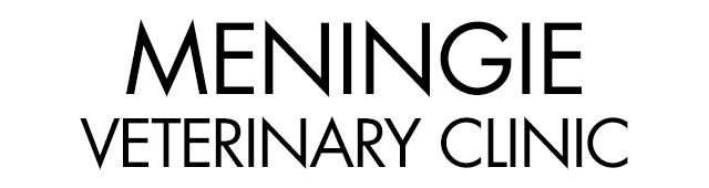 Meningie Veterinary Clinic - Gold Coast Vets