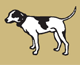 Motter Catherine - Gold Coast Vets