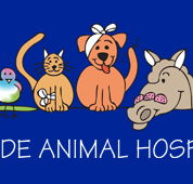 Adelaide Animal Hospital - Gold Coast Vets