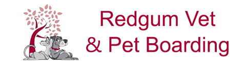 Redgum Vet & Pet Boarding - Gold Coast Vets 0