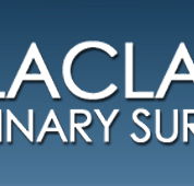 Balaclava Veterinary Surgery - Gold Coast Vets