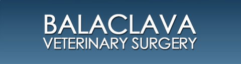Balaclava Veterinary Surgery - Gold Coast Vets 0