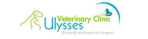 Ulysses Veterinary Clinic - Gold Coast Vets 0