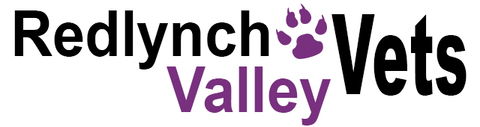 Redlynch Valley Vets - Gold Coast Vets 0