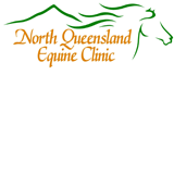 North Queensland Equine Clinic - Gold Coast Vets 0