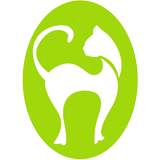 Tropical Queensland cat clinic - Gold Coast Vets