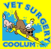 Coolum Veterinary Surgery - Gold Coast Vets