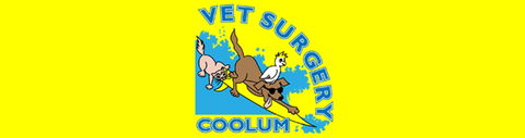 Coolum Veterinary Surgery - Gold Coast Vets 0