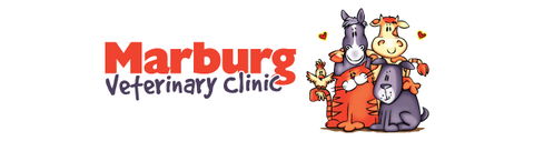 Marburg Veterinary Clinic - Gold Coast Vets 0