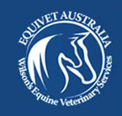 Equivet Australia Pty Ltd - Gold Coast Vets