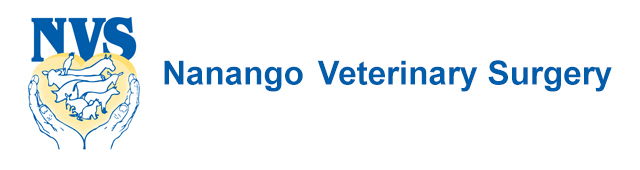 Nanango QLD Gold Coast Vets
