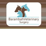 Barambah Veterinary Surgery - Gold Coast Vets 0