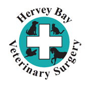Hervey Bay Veterinary Surgery - Gold Coast Vets