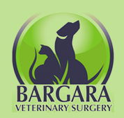 Bargara Veterinary Surgery - Gold Coast Vets
