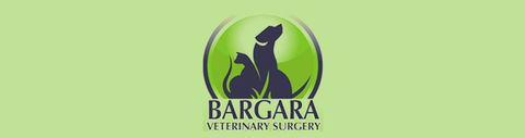 Bargara Veterinary Surgery - Gold Coast Vets 0
