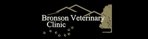 Bronson Veterinary Clinic - Gold Coast Vets 0