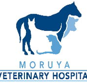 Moruya Veterinary Hospital - Gold Coast Vets