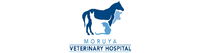 Book Moruya Accommodation Vacations Gold Coast Vets Gold Coast Vets