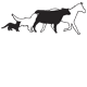 Bomaderry Veterinary Hospital - Gold Coast Vets