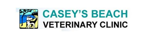 Casey's Beach Veterinary Clinic - Gold Coast Vets 0