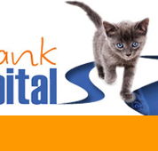 Riverbank Animal Hospital - Gold Coast Vets