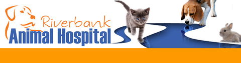 Riverbank Animal Hospital - Gold Coast Vets 0