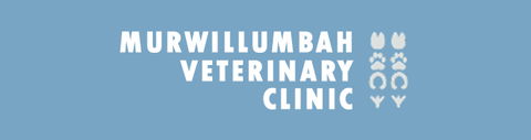 Murwillumbah Veterinary Clinic - Gold Coast Vets 0