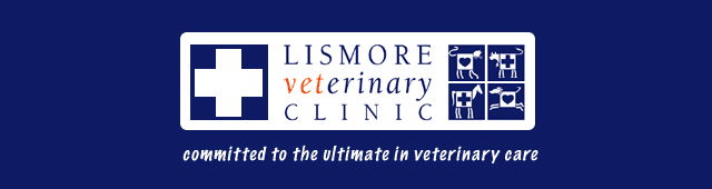 Numulgi NSW Gold Coast Vets
