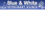 Blue & White Veterinary Clinic - Gold Coast Vets 0