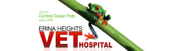 Erina Heights NSW Gold Coast Vets