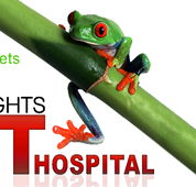 Erina Heights Veterinary Hospital - Gold Coast Vets
