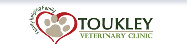 Norah Head NSW Gold Coast Vets