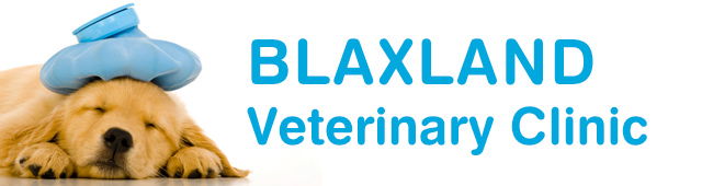 Blaxland East NSW Gold Coast Vets