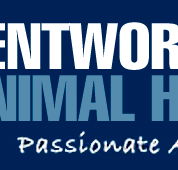 Wentworth Falls Animal Hospital - Gold Coast Vets
