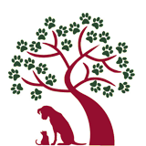 Selwood House Veterinary Hospital - Gold Coast Vets