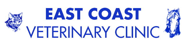 Rocky Hills TAS Gold Coast Vets