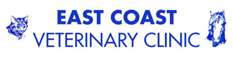 East Coast Veterinary Clinic - Gold Coast Vets 0