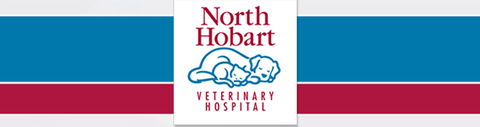 North Hobart Veterinary Hospital - Gold Coast Vets 0