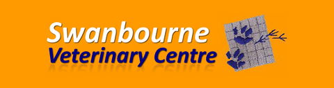 Swanbourne Veterinary Centre - Gold Coast Vets 0