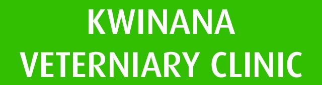 Bertram WA Gold Coast Vets