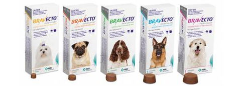 Burnett Mobile Vet - Gold Coast Vets 6