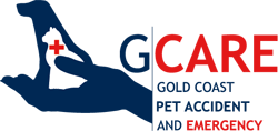 AEC Animal Emergency Centre - Gold Coast Vets 0