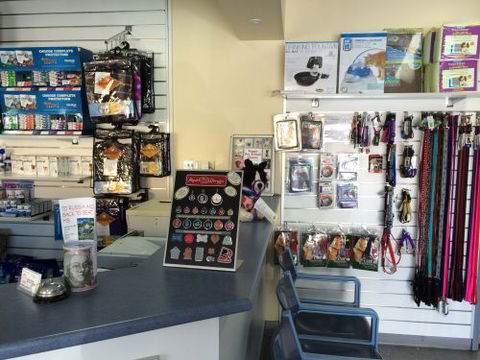 Albion Park Veterinary Hospital - Gold Coast Vets 2