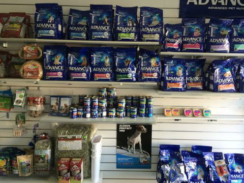 Albion Park Veterinary Hospital - Gold Coast Vets 4