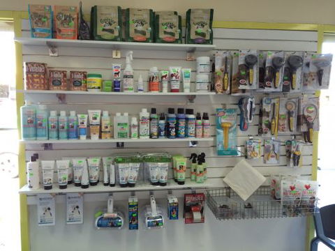 Albion Park Veterinary Hospital - Gold Coast Vets 5