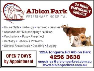 Albion Park Veterinary Hospital - Gold Coast Vets 6